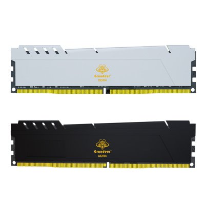 Ram memory with heatsink 